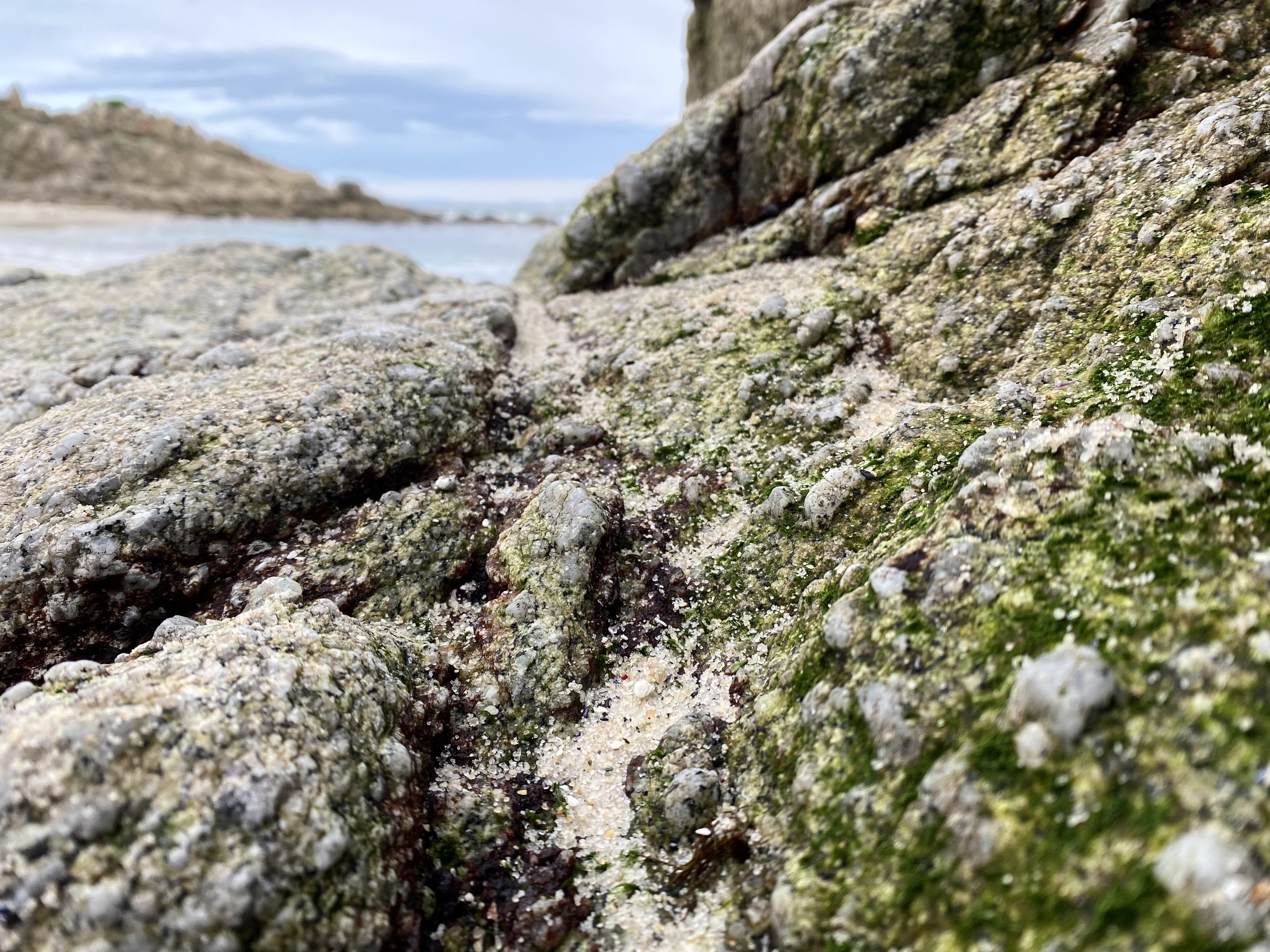 Mossy Rock